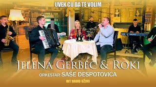 Jelena Gerbec - Uvek cu da te volim (orkestar Sase Despotovica)