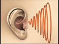 Tinnitus sound therapy tinnitus masking ear ringing relief and treatment binaural beats music