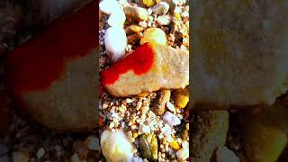 I found a cotton limestone, hoping there would be diamonds and pearls in it. #diamonds #pearls #gold