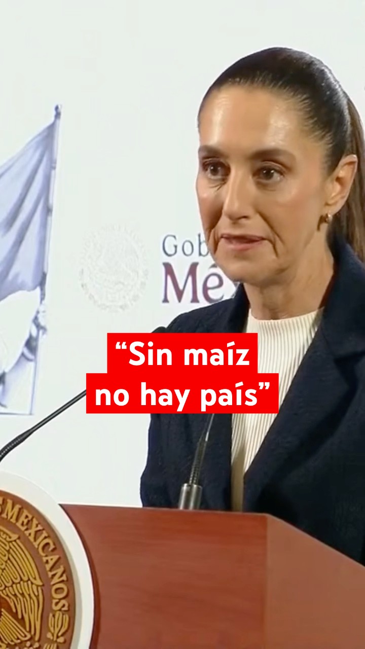 Sheinbaum impulsa prohibición del maíz transgénico en México #shorts