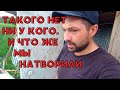 КУПИЛ ДОМ В ДЕРЕВНЕ | БЮДЖЕТНЫЙ САРАЙ | НЕ НАДО СМЕЯТЬСЯ :D #купилдомвдеревне #бюджетныйсарай #хутор