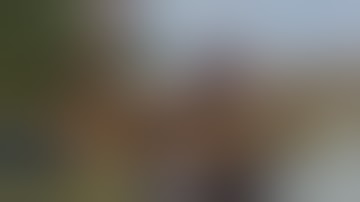 Exonerated Man, Fatally Shot During Traffic Stop in Georgia