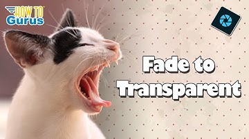 Photoshop Elements Tutorials for Beginners Fade Background to Transparent