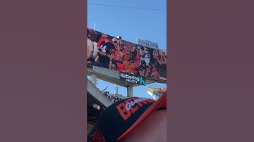 Thumbnail of Who Dey Chant ‘The Bengals Grawl’ @AtlantaFalcons at @Bengals Week 7 2022