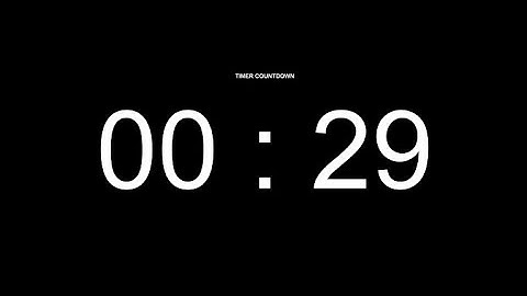 29 Seconds Countdown Timer