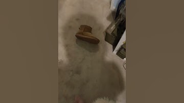 making ugly transitions until 1K day 1 #shorts #meme #walterwhite #funny #edit #viral #video