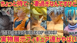 Actual Product Display] Expectations Soaring! The latest Ichiban