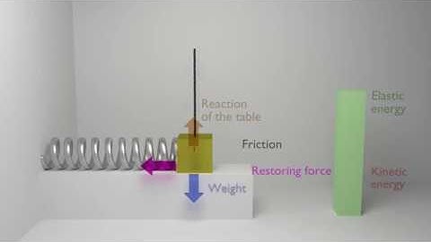 Animation of a damped harmonic oscillator physics