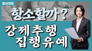강제추행 집행유예, 항소할까?