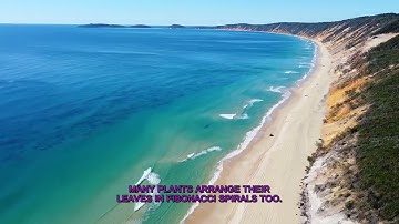 Hidden Math: Fibonacci Secrets in Nature Revealed