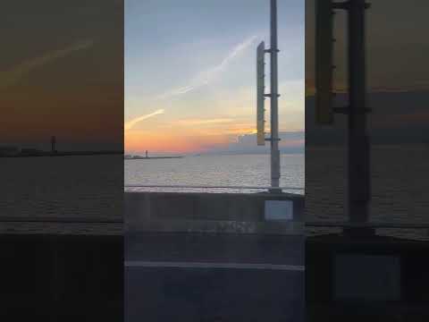 뭘봐 82메이저 shorts #japan #知多半島 #名古屋 #travel #nagoya #travel #shorts #82major#driving #愛知県