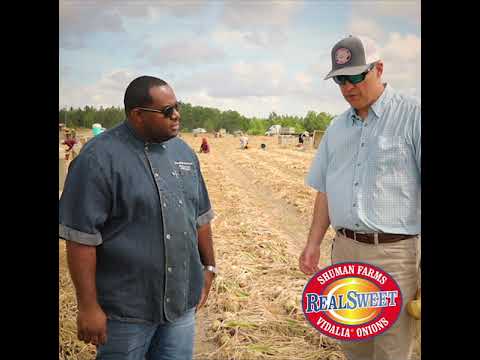 Vídeo: As cebolas shuman farms foram retiradas do mercado?