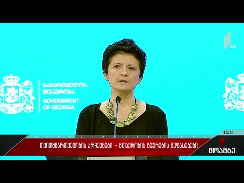 თვითმმართველობის არჩევნები - მთავრობის წევრების შეფასებები