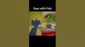 [Daily Use of Poly] With or without you... #polybuzz