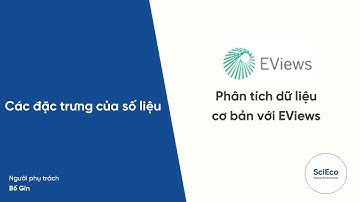 Hướng dẫn học EViews #1: