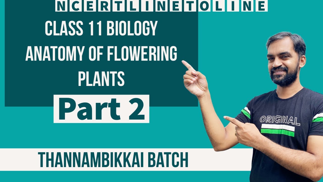 Anatomy of Flowering Plants Class 11 | Part 2 | NCERT line to line ...