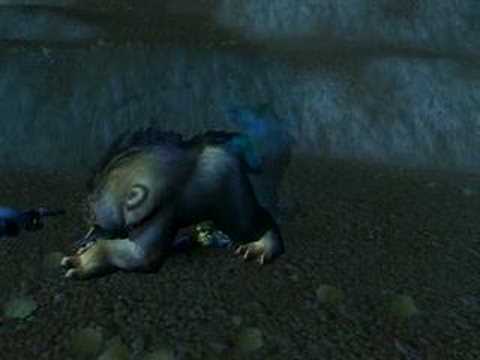 Beastality WoW STYLE! - YouTube