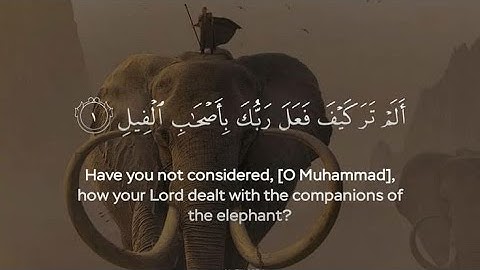 🛑{أَلَمْ تَرَ كَيْفَ فَعَلَ رَبُّكَ بِأَصْحَابِ الْفيل} تلاوه خاشعه للنفوس المتعبه ♥😓