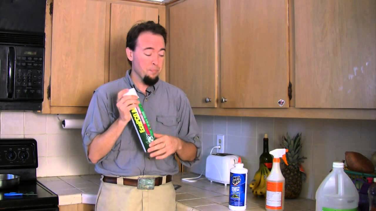 How to Rid Bugs With Insecticide Products YouTube