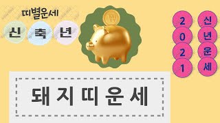 2021년 신축년 돼지띠운세