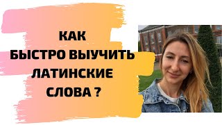 Как быстро выучить латинские слова?