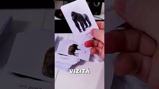 cartonase educative #montessori pentru #gradinite