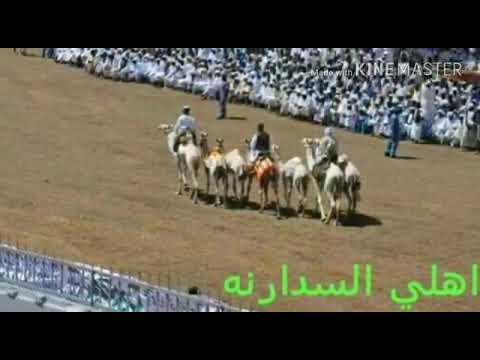 اهلي السدارنة
