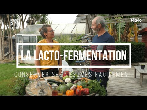 Vidéo: Méthodes de fermentation des légumes - Comment faire fermenter les légumes du jardin