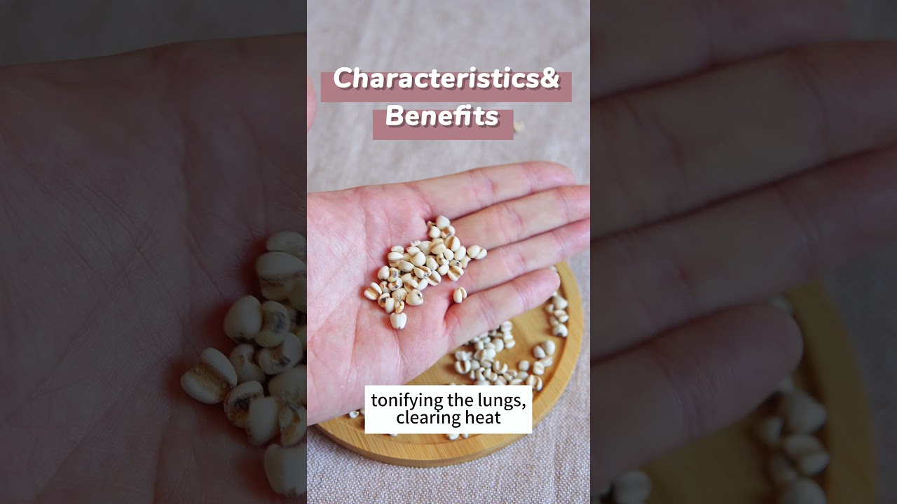 earn 1 Chinese medicine per day-coix seed-nephritis, cystitis 