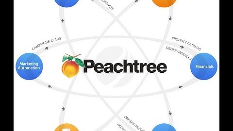 Peachtree accounting  lesson # 10  Complete Course  urdu/hindi