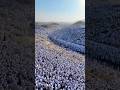 "Resonic Moments: Allah u Akbar - 2026 Eid Takbeer that Will Inspire You!"#eid #eiduladha #takbeerat
