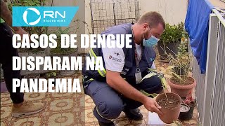 Casos de dengue crescem no período de pandemia Casos de dengue crescem no período de pandemia