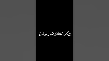 فَلَا تَلُومُونِي وَلُومُوا أَنفُسَكُم ۖ|سورة ابراهيم بشاشة سوداء كروما سوداء لقارئ محمد كردي