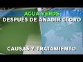 AGUA VERDE DESPUÉS DE AÑADIR CLORO |  SOLUCIÓN