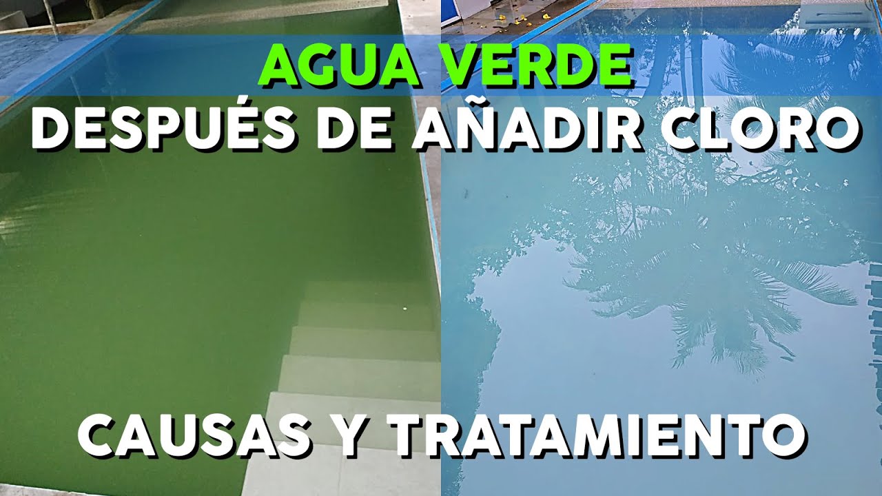 Agua piscina verde