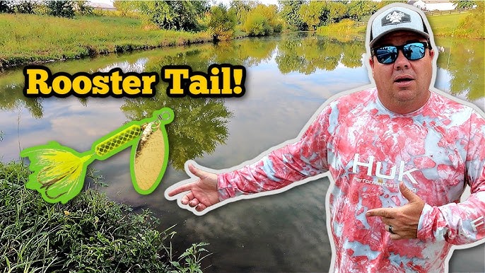 How to Fish a ROOSTER TAIL!! One of the Best Lures for the Creek