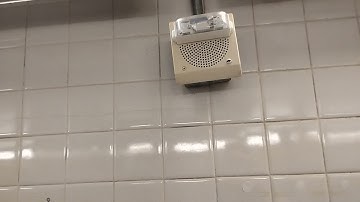 Wheelock speaker strobe audio test