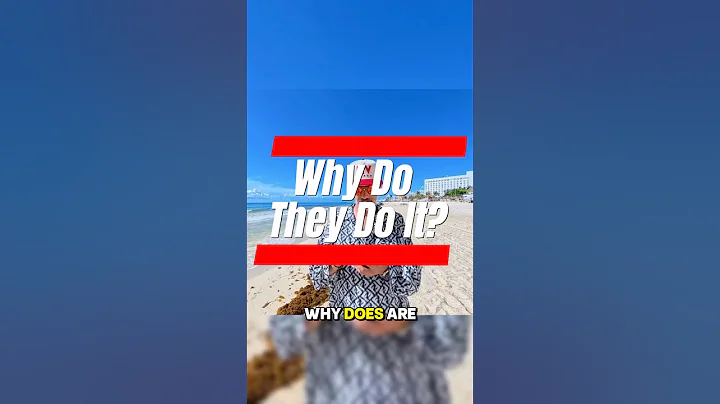 Why Do They Do It?