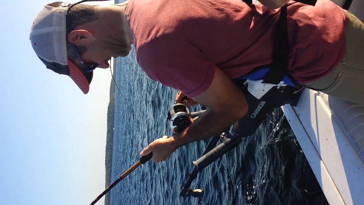 Salmon Fishing Gills Rock, Wisc Cory 1 YouTube