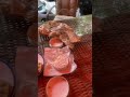 دي مش جبنه يا نور دا شراب معفن دي مش جبنه يا نور دا شراب معفن