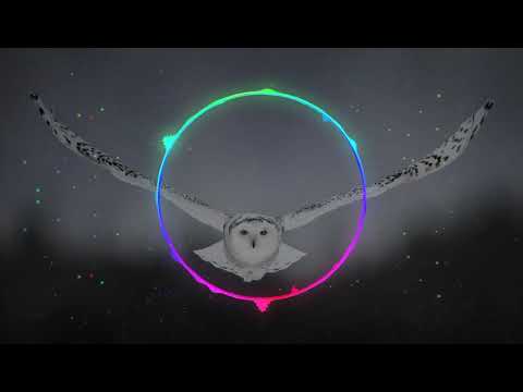 ბუ - ფრთებით მოდის