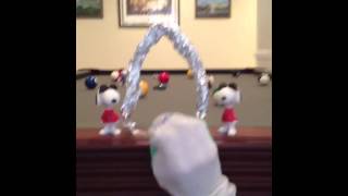 Gandolf the Glucose Molecule