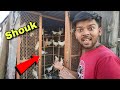 New Kabootar Ka Shouk | नये कबूतर का शौक❤🕊