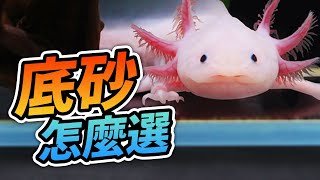 快速養魚指南，13種熱門魚種的底砂挑選教學（CC字幕） 