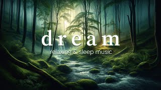 [ASMR Rain] Dream - Gentle Piano Music for Deep Sleep by Rain Relax 506 views 12 days ago 4 hours, 4 minutes