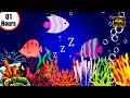 Baby Lullaby🐟Soothing fishes🐟Calming Undersea Animation🐟Aquarium #lullaby #sleepmusic #45 #mozart