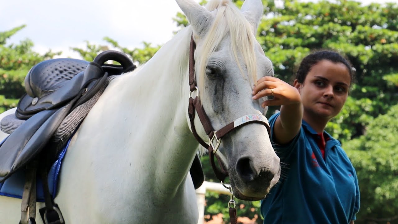 Equoterapia Inclusiva