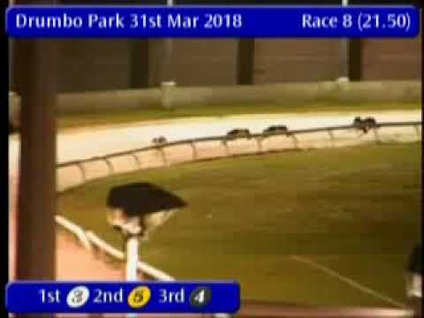 IGB - greyhound-data.com  31/03/2018 Race 8 - Drumbo Park