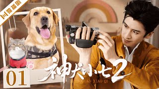 ENG【FULL】EP01 神犬小七第二季Hero dogⅡ | 💗解锁超甜恋爱副本! #言情 #甜宠 #偶像剧 #kiss #love