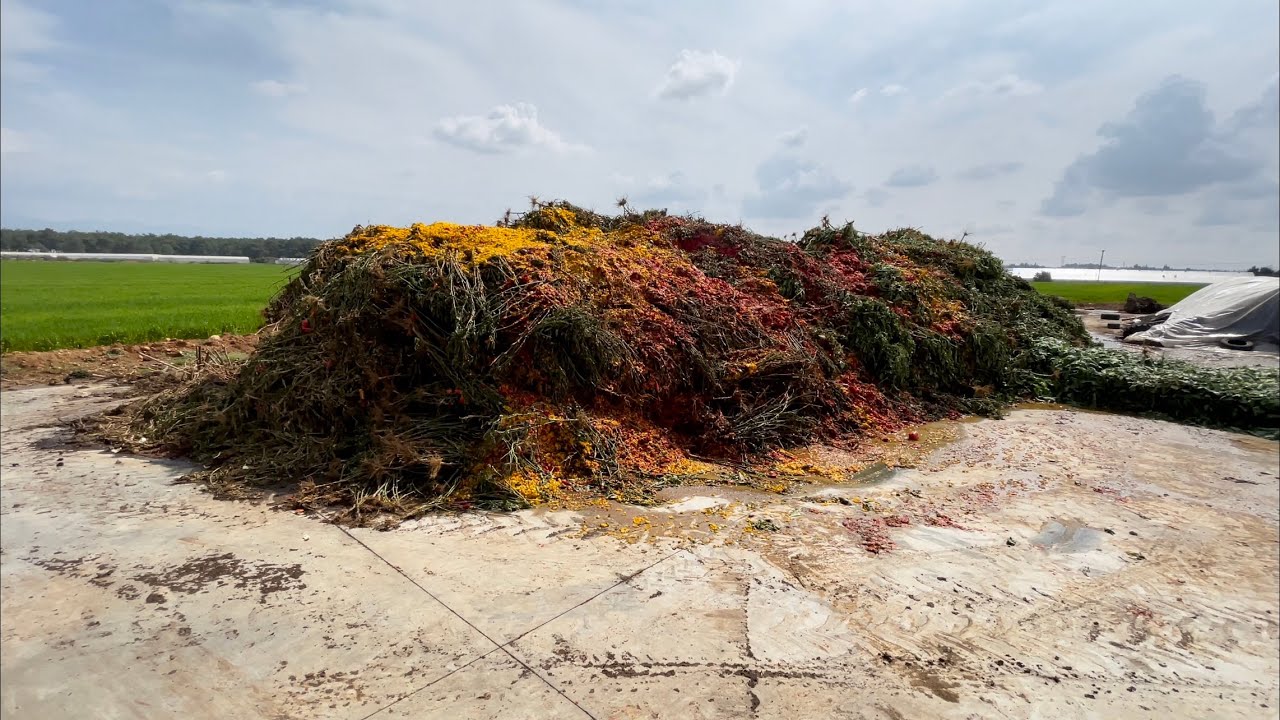 SOLUCAN GÜBRESİNDE KALİTENİN SIRRI